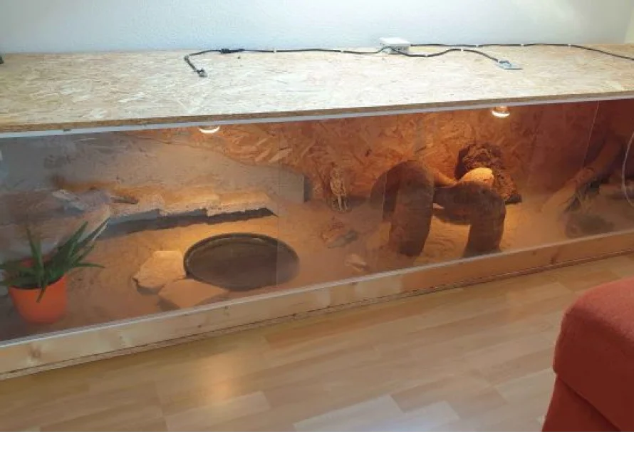 Ein Terrarium aus Holz und Glas.