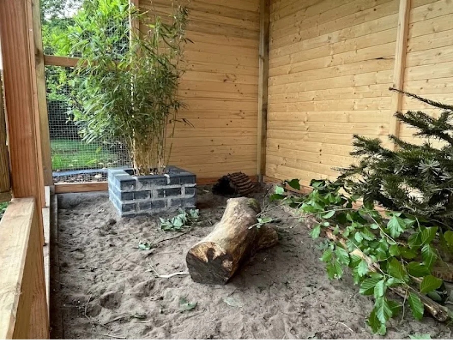 Ein Gehege mit Sandboden und Pflanzen