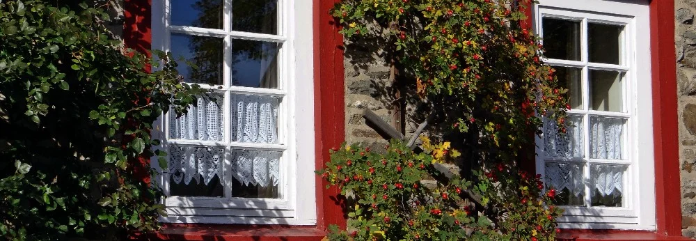 Zwei Fenster mit Spitzenvorhängen