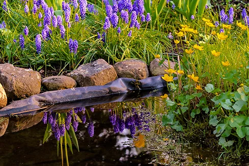 Gartenteich mit Steinen und Blumen