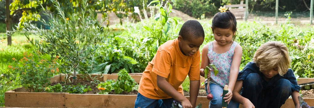 Drei Kinder pflanzen im Garten