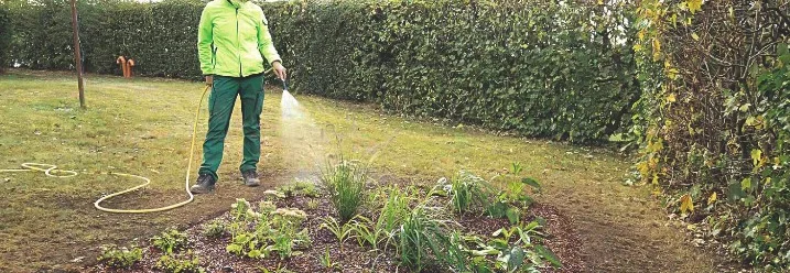 Person gießt ein neu angelegtes Beet