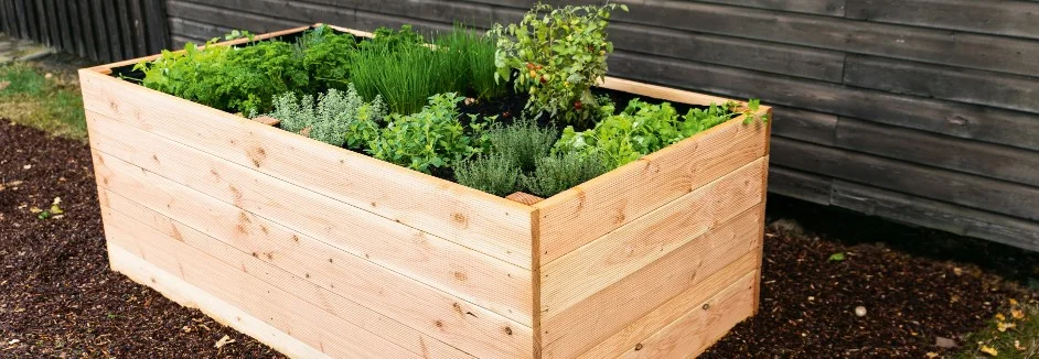 Hochbeet aus Holz mit Kräutern
