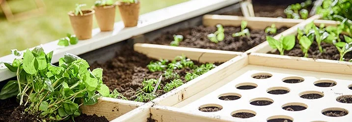 Hochbeet aus Holz mit verschiedenen Kräutern