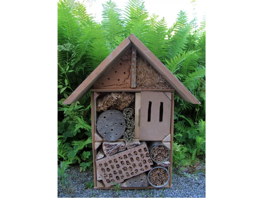 Insektenhotel vor Farnen