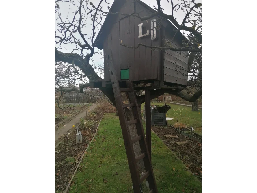 Baumhaus mit Leiter im Garten