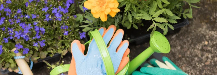 Blumen, Gießkanne, Handschuhe und Schaufel