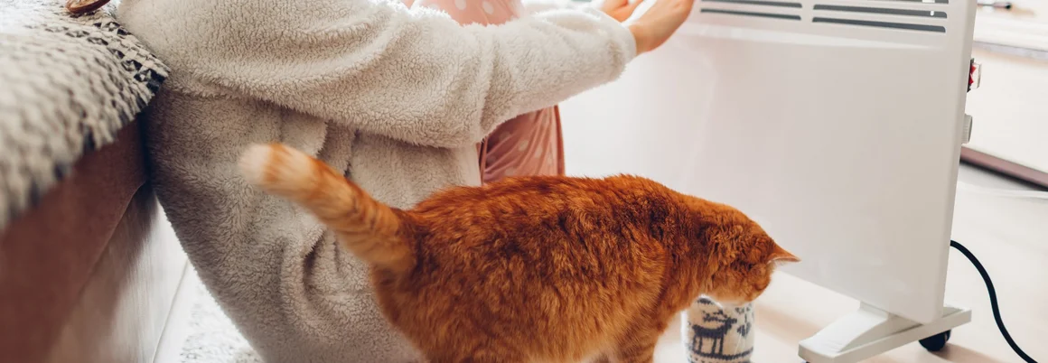 Person wärmt sich an mobiler Heizung, Katze sitzt daneben