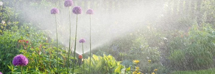 Ein Rasensprenger bewässert Blumen