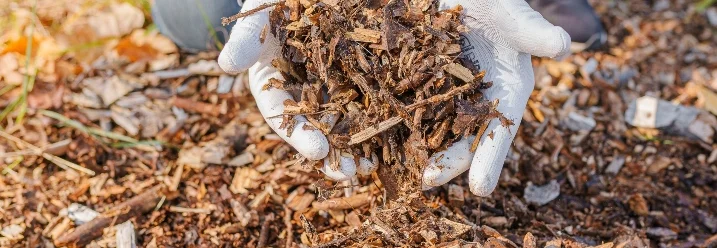 Hände mit Gartenhandschuhen halten Rindenmulch