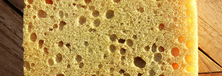 Gelber Schwamm