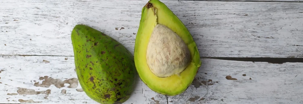 Eine Avocado und eine halbe Avocado