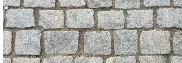 Ein gepflasterter Weg aus grauen Pflastersteinen.
