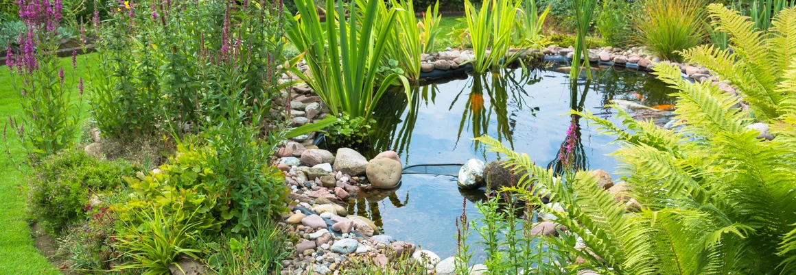 Ein Gartenteich mit Steinufer und üppiger Bepflanzung