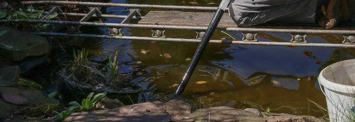 Eine Person reinigt mit einem Teichsauger den Gartenteich.