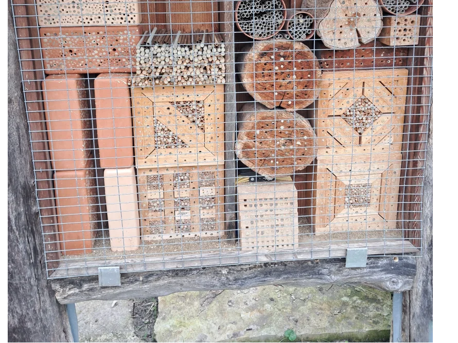 Insektenhotel mit verschiedenen Fächern