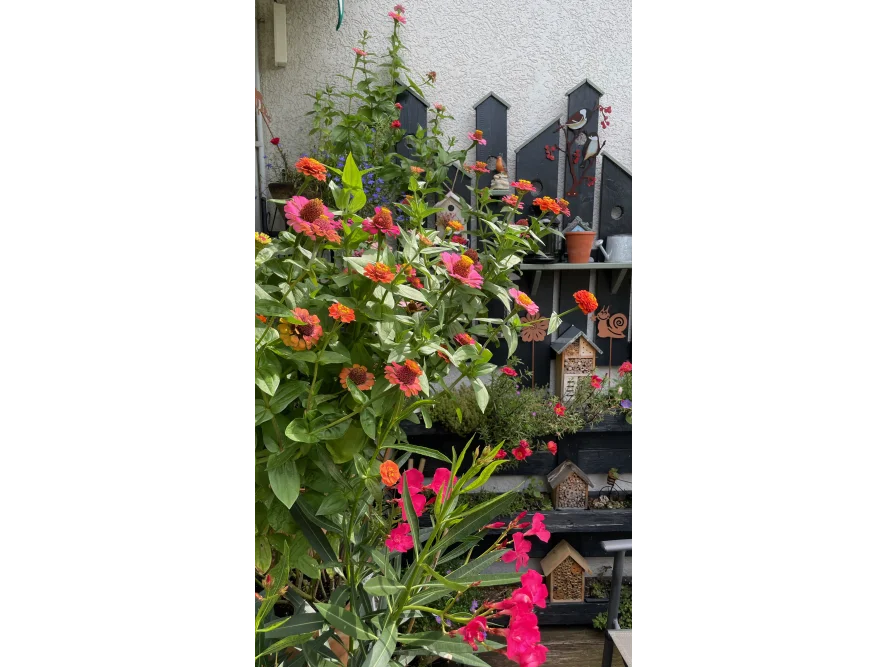 Blumen und Vogelhäuschen