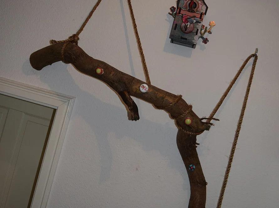 Ast an Wand