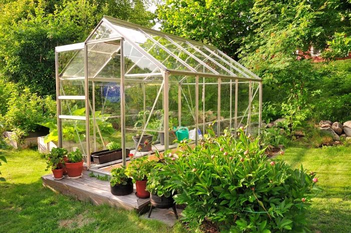 Gewächshaus im Garten