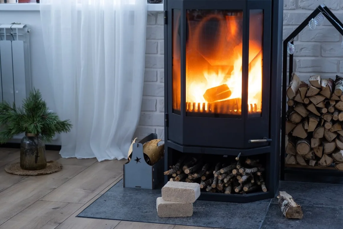 Brennender Kaminofen mit Brennholz
