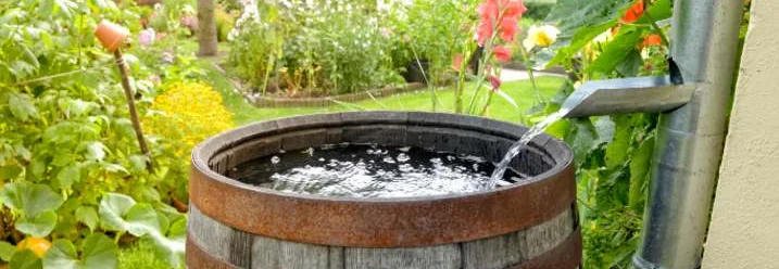 Regentonne im Garten