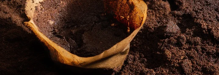 Kaffeefilter mit Kaffeesatz