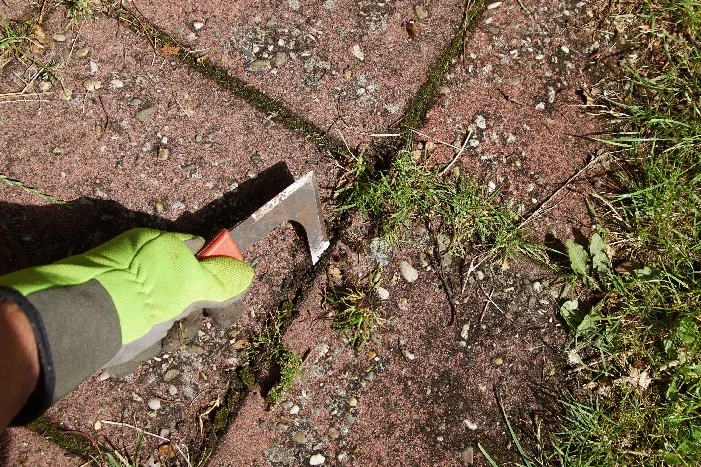 Hand entfernt Unkraut zwischen Pflastersteinen