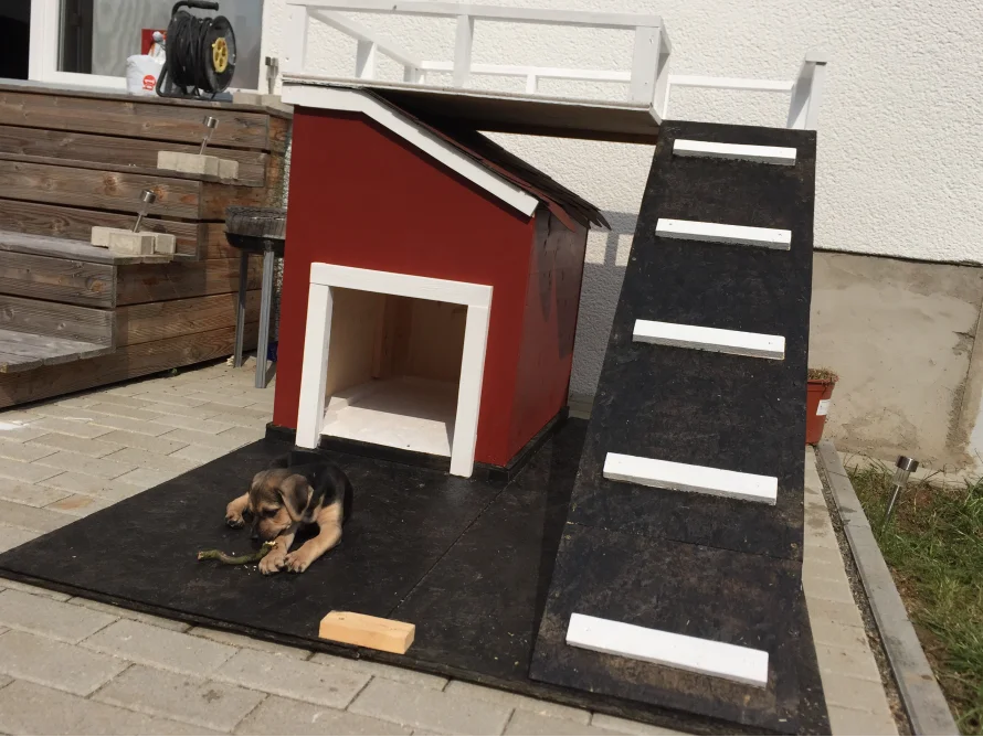 Rotes Hundehaus mit Rampe und Welpe