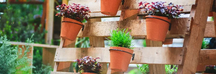 Vertikaler Garten aus Paletten mit verschiedenen Blumentöpfen