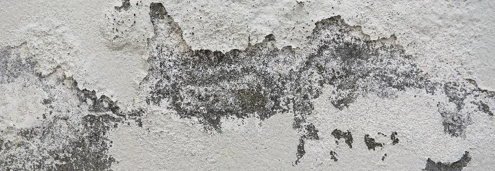 Abblätternder Putz an einer Wand