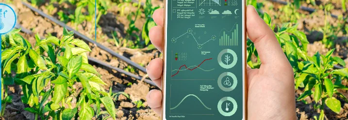 Hand hält Smartphone mit Daten auf dem Feld