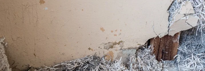 Beschädigte Wand