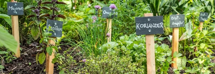 Kräutergarten mit beschrifteten Kräutern