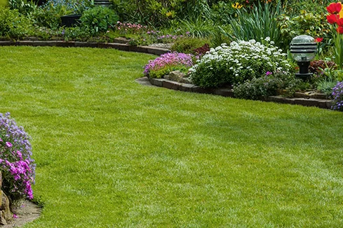 Gepflegter Rasen mit Blumenbeeten