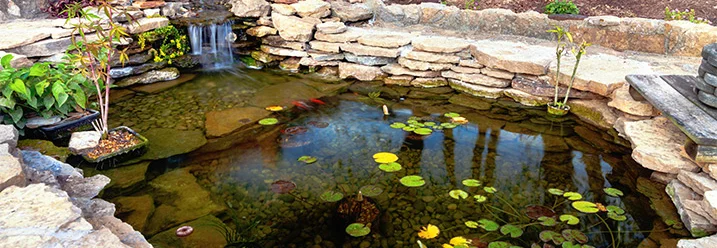 Garteich mit Wasserfall und Seerosen
