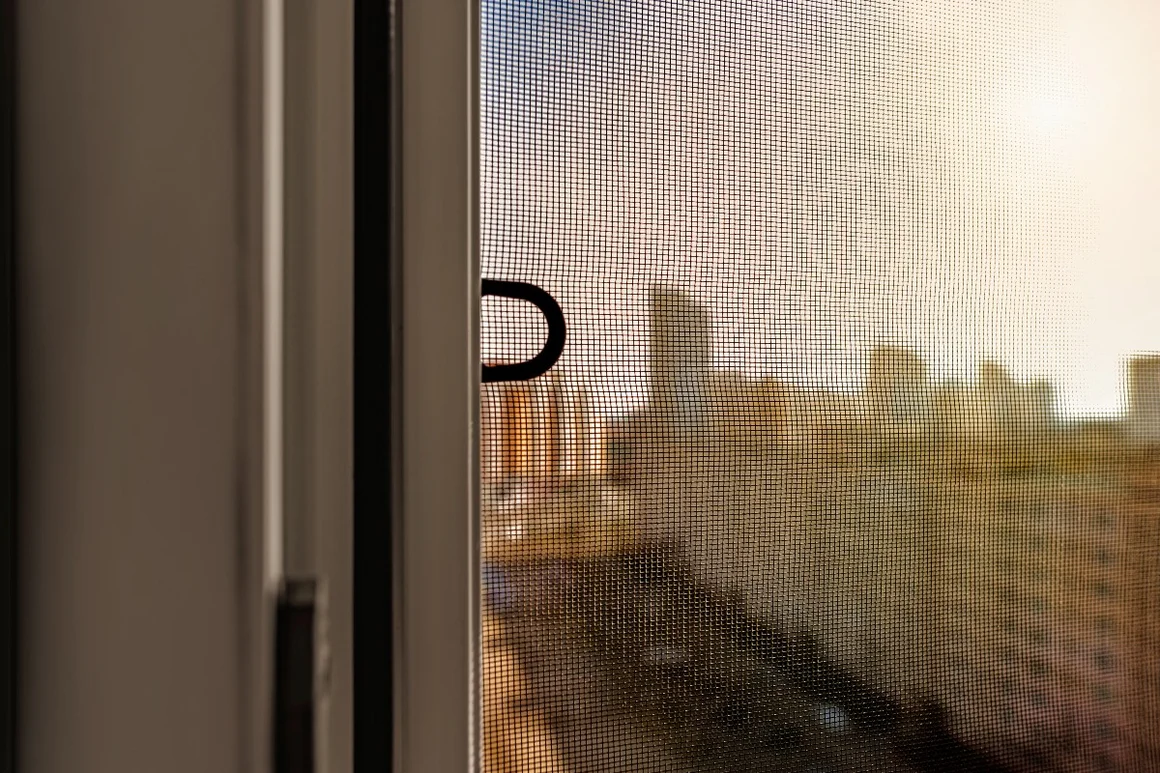 Blick durch ein Fliegengitter auf eine Stadt