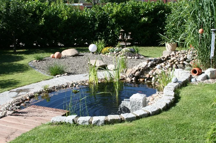 Ein kleiner Teich in einem Garten