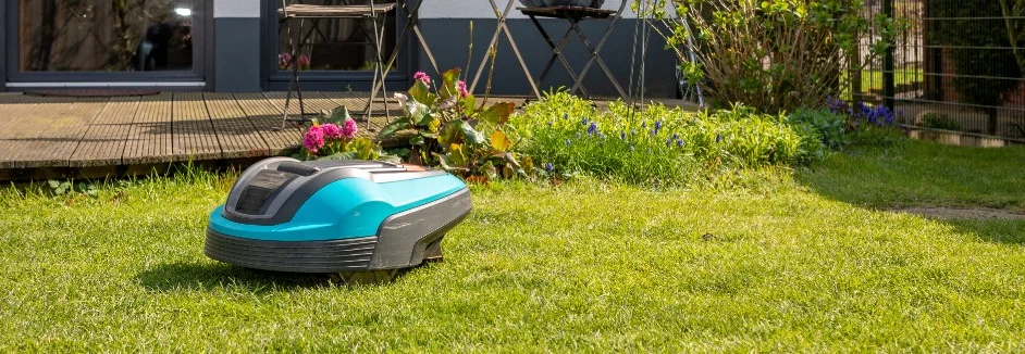 Mähroboter auf grünem Rasen