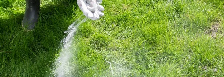 Person düngt Rasen