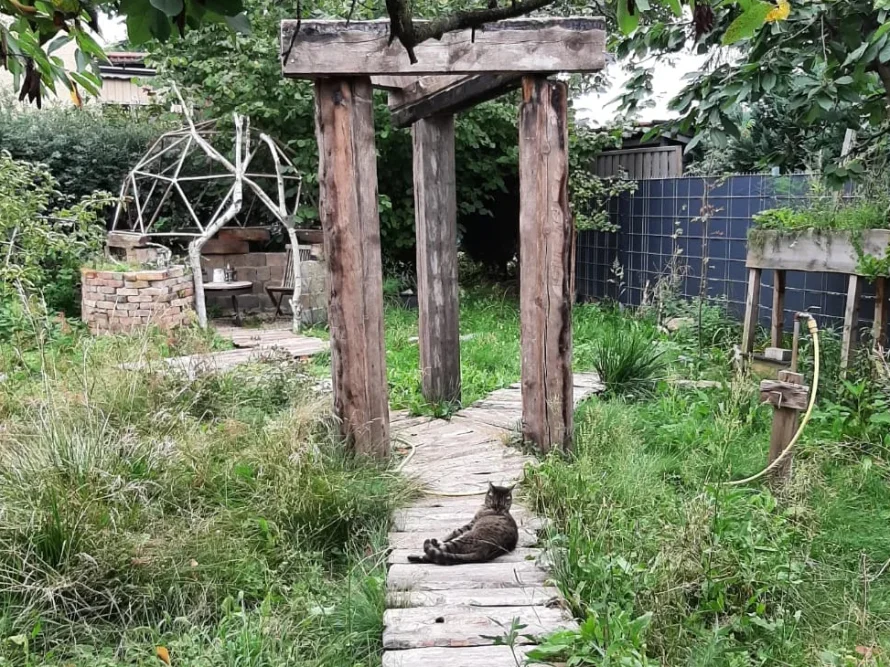 Garten mit Holzkonstruktion und Katze