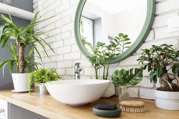Waschbecken mit Pflanzen im Badezimmer