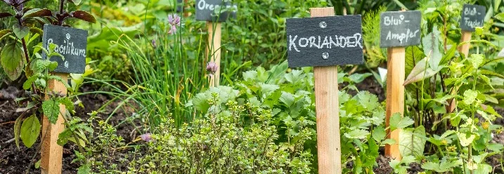 Kräuterbeet mit beschrifteten Schildern