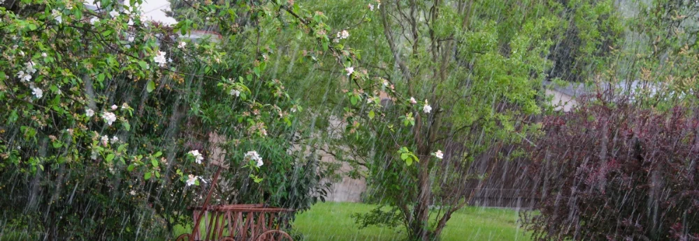 Regen im Garten