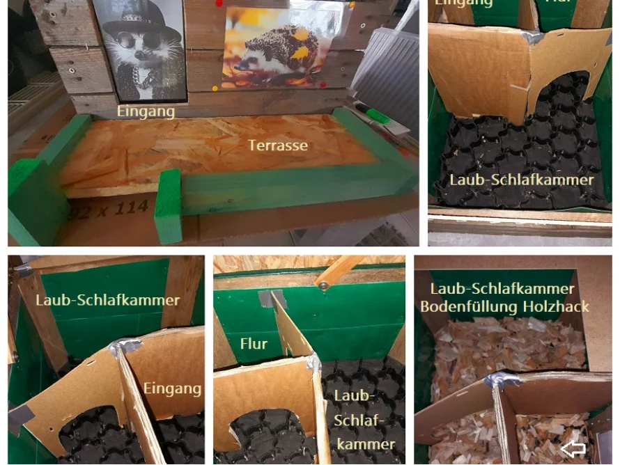 Bau eines Igelhauses aus Holz