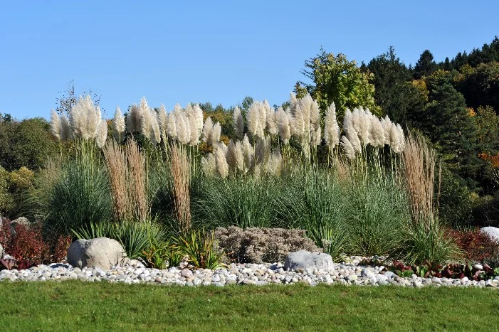 Gartenbeet mit hohen Gräsern und Steinen
