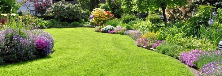 Gepflegter Garten mit Rasenfläche