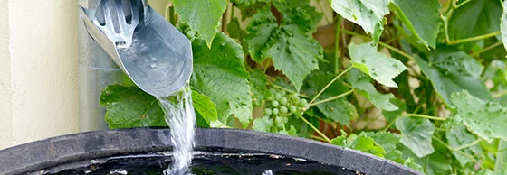 Regenwassertonne mit Fallrohr