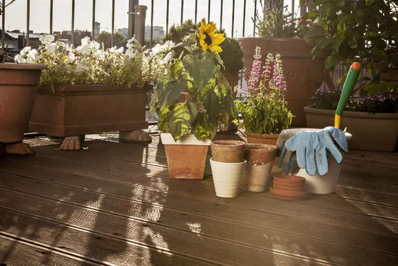 Blumen und Gartengeräte auf Balkon