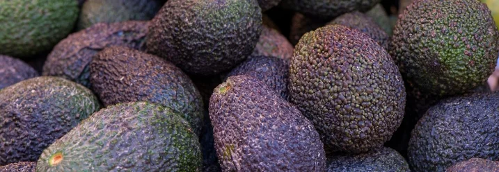 Haufen reifer Avocados