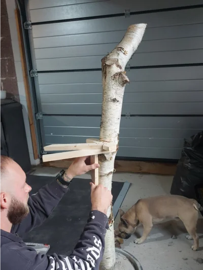 Person baut einen Kratzbaum aus Birkenstamm